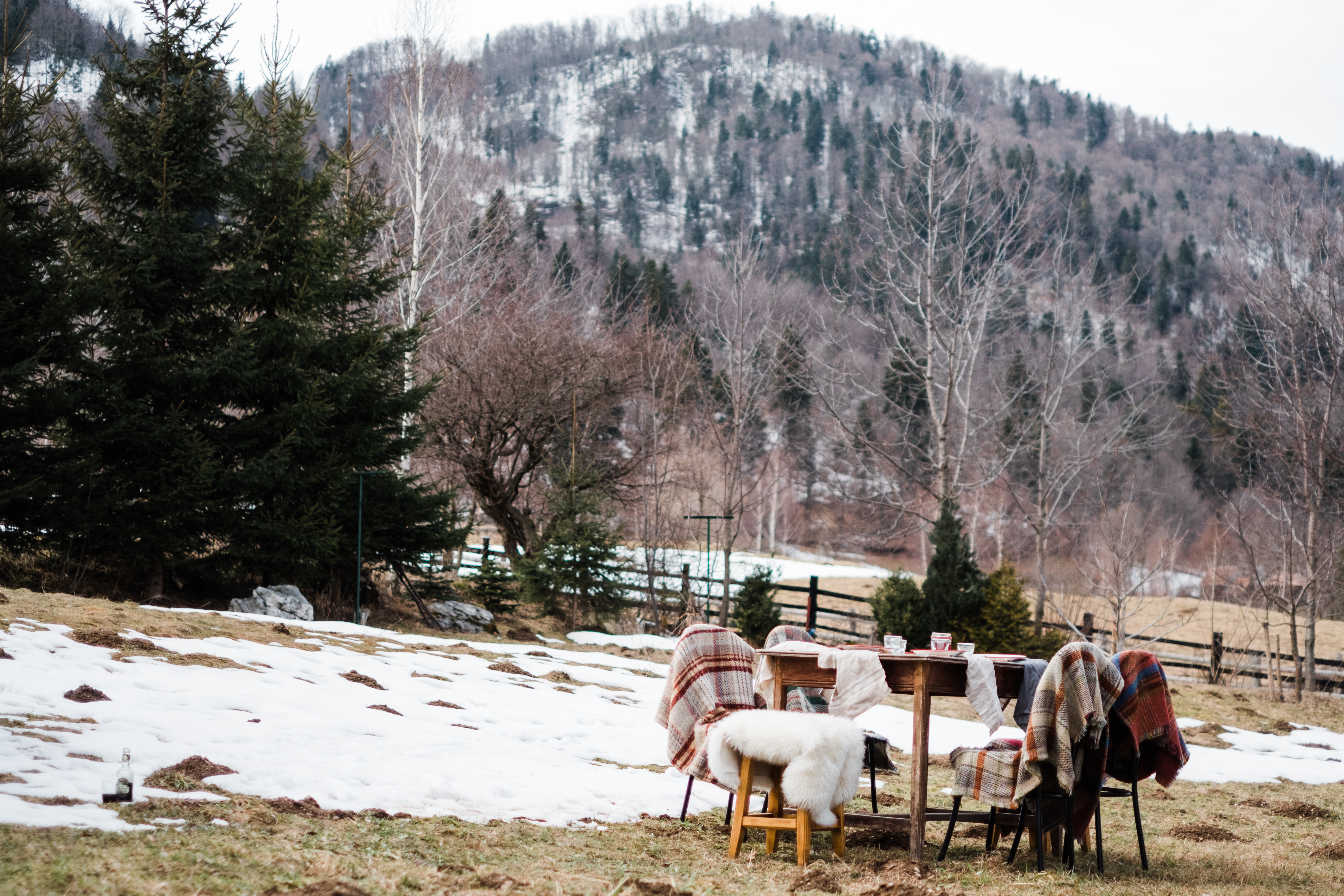 early spring gathering_deersphotography-95