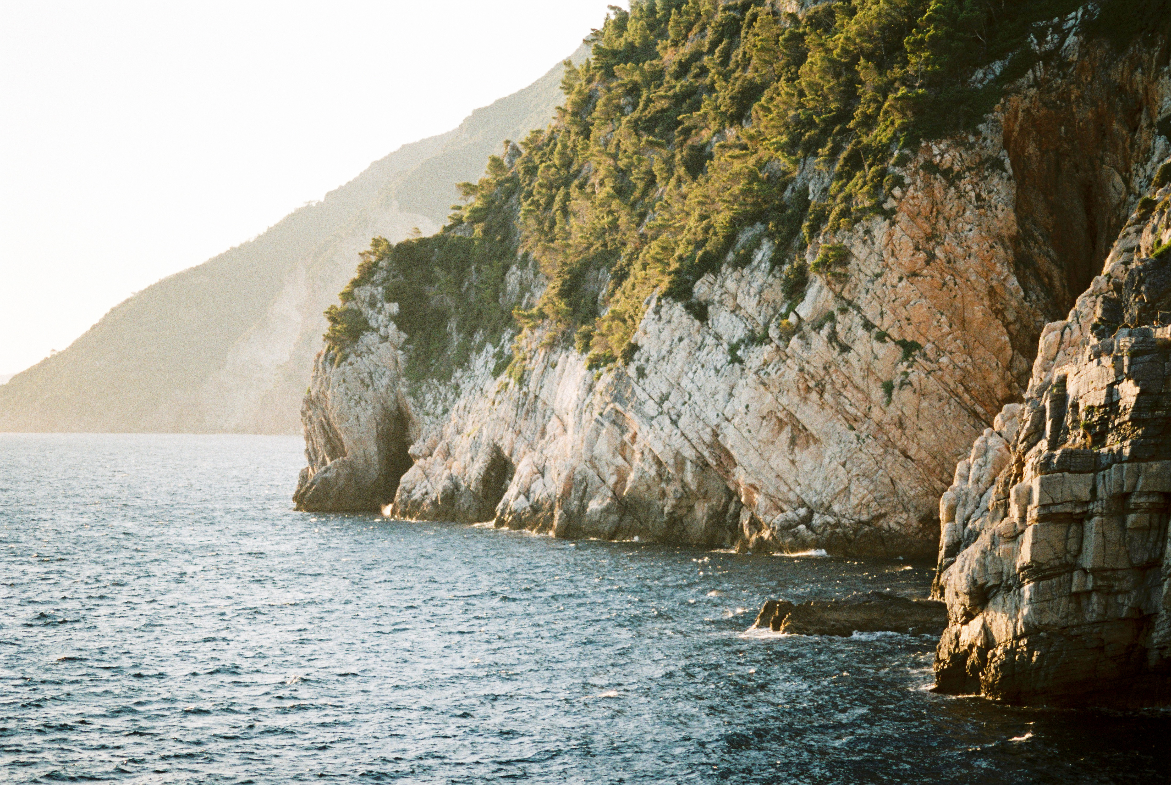 film_deersphotography119