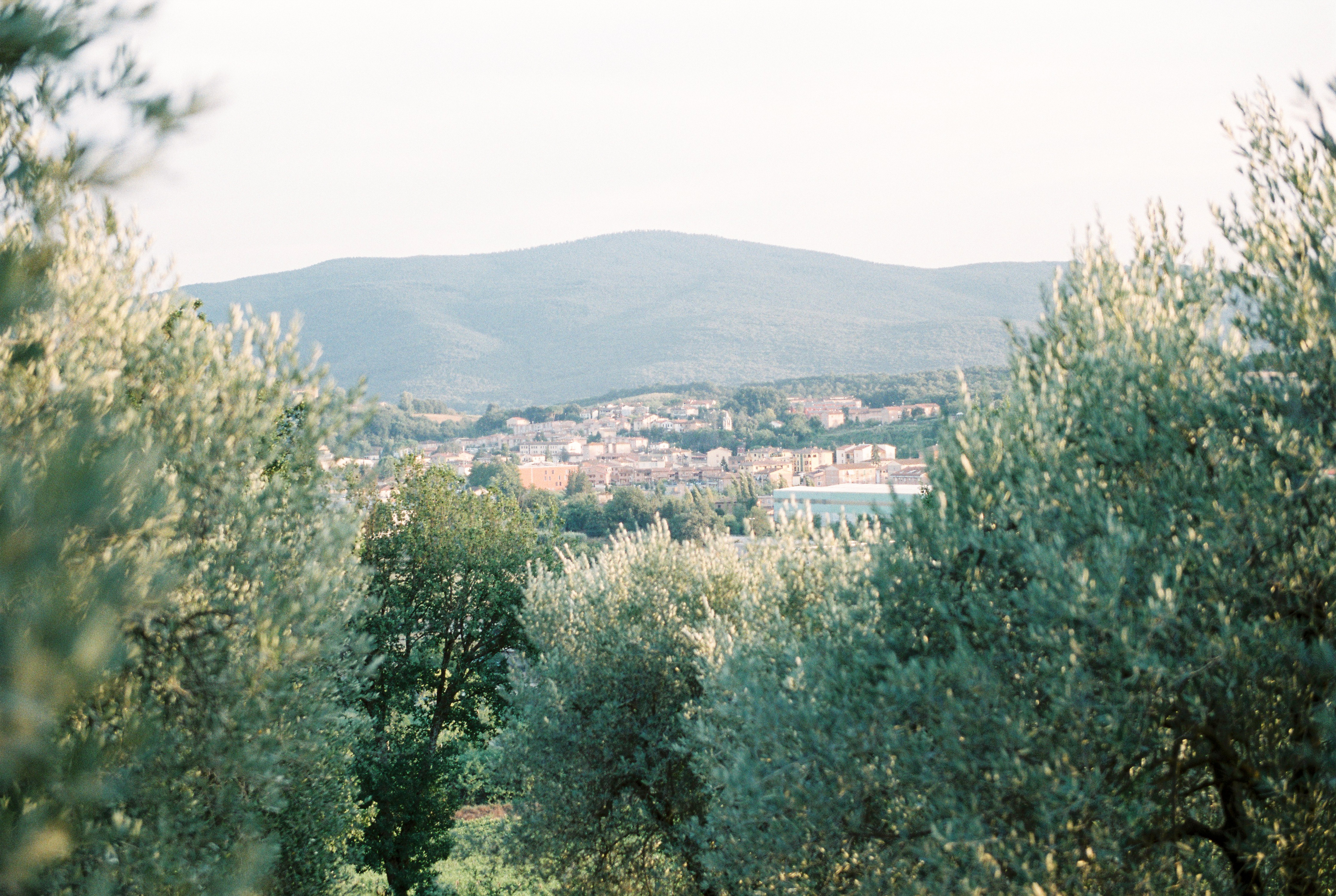 film_deersphotography117