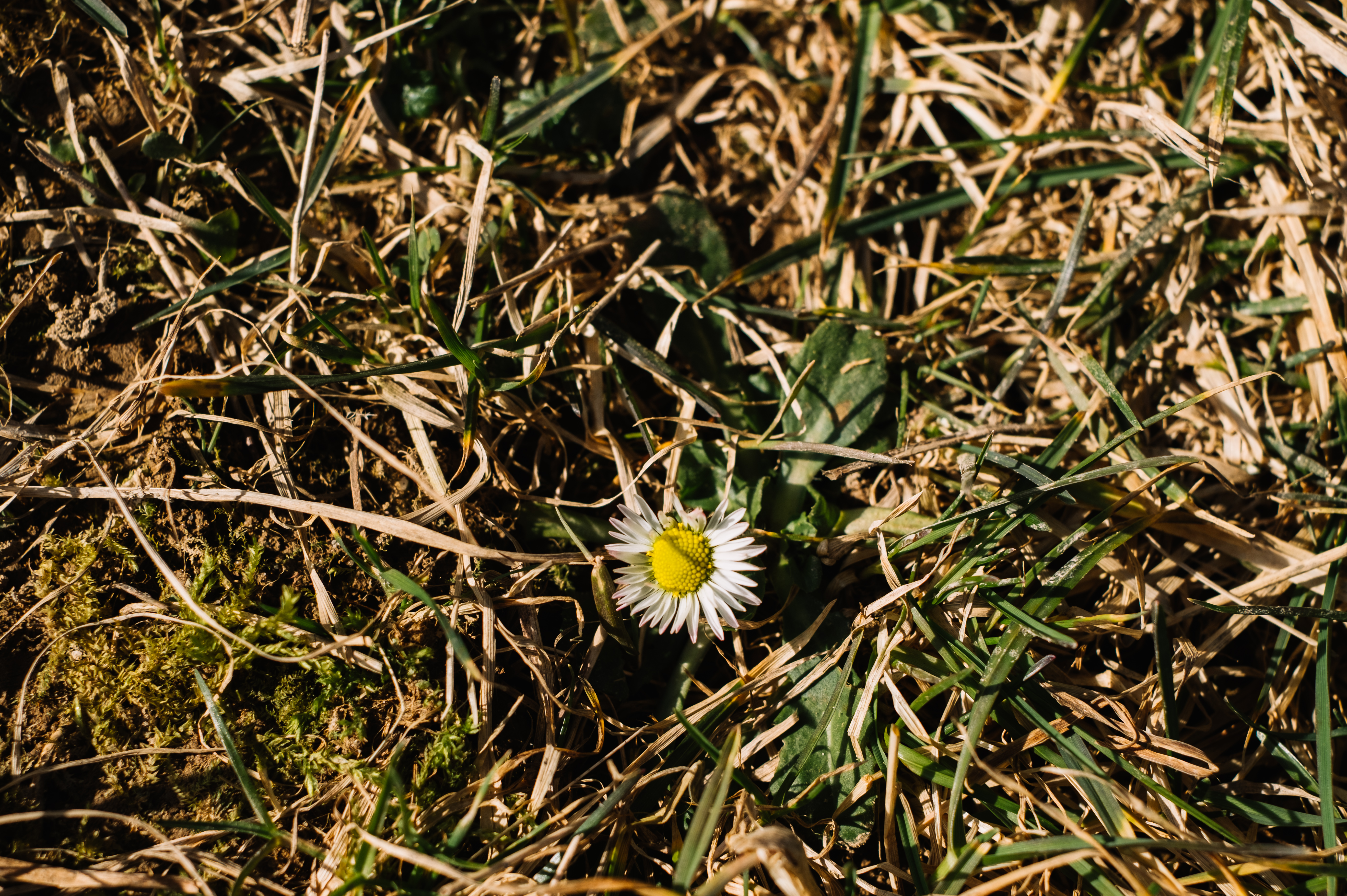 early spring gathering_deersphotography-185