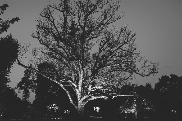 DSC_4093