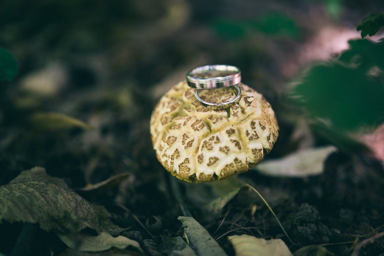 nunta tree house_012