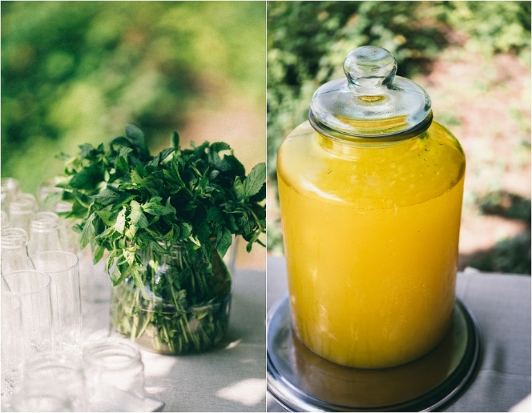 nunta tree house_015