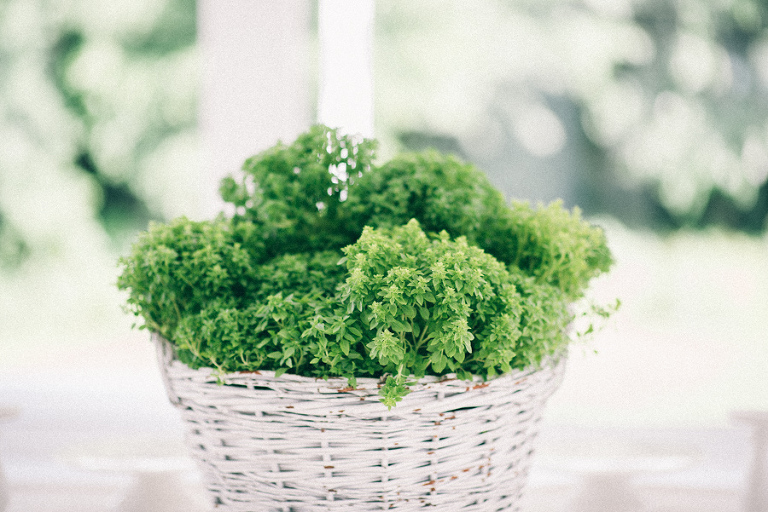 nunta tree house_016