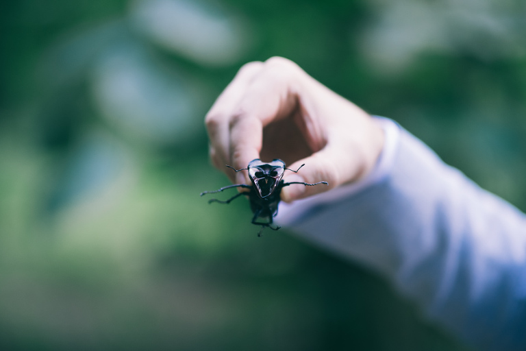 nunta tree house_027