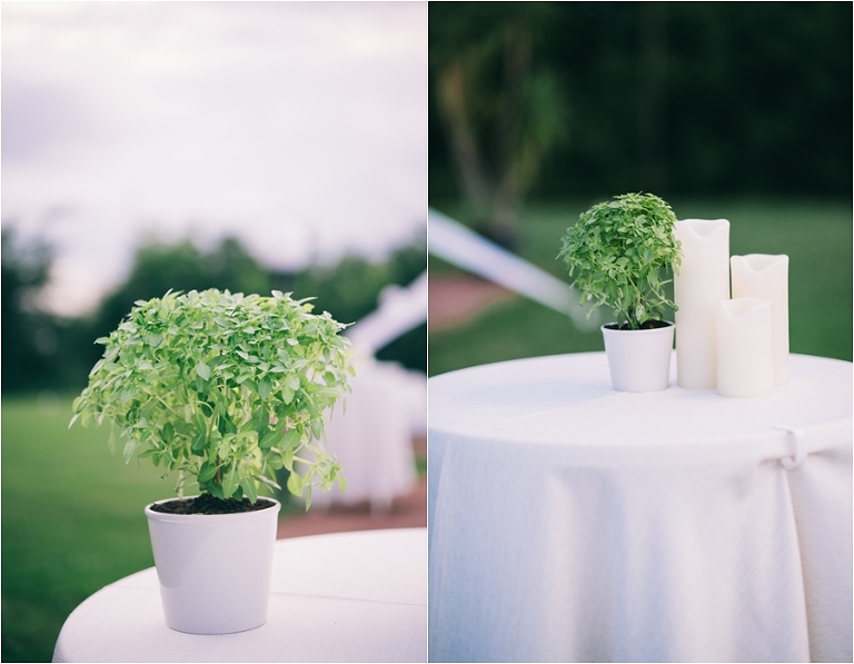 nunta tree house_051