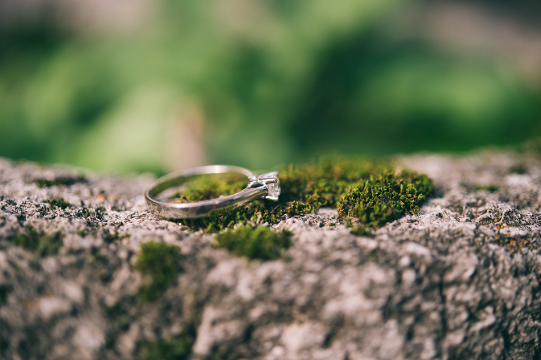 deersphotography_023