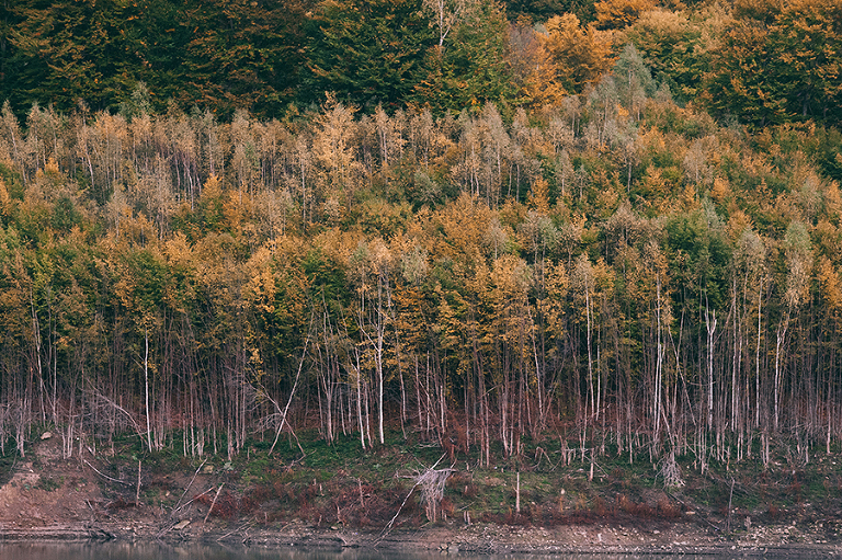 deersphotography_047