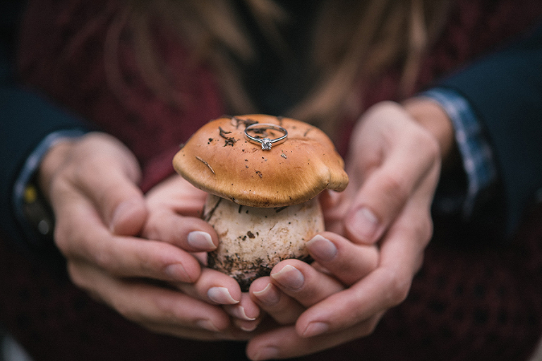 deersphotography_049