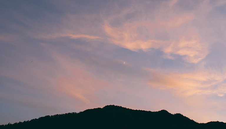 deersphotography_065