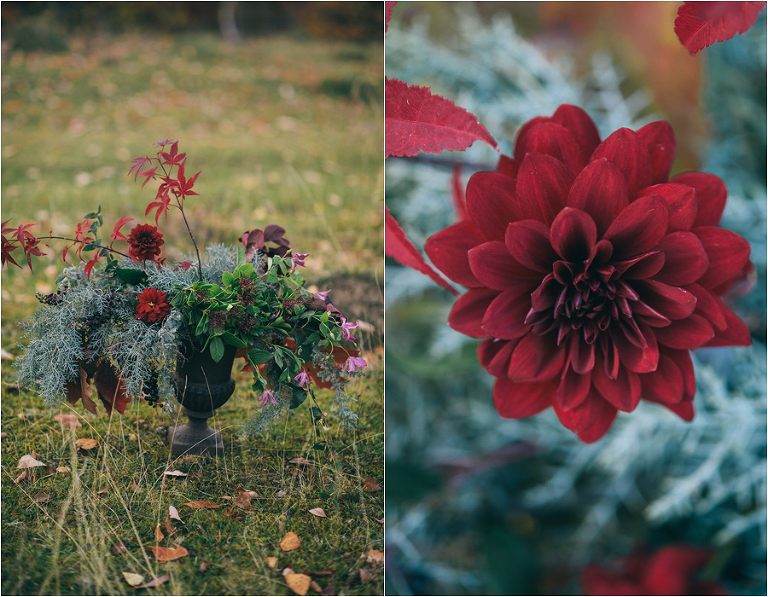 deer's photography_autumn007