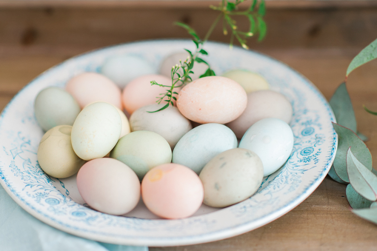 deersphotography_003