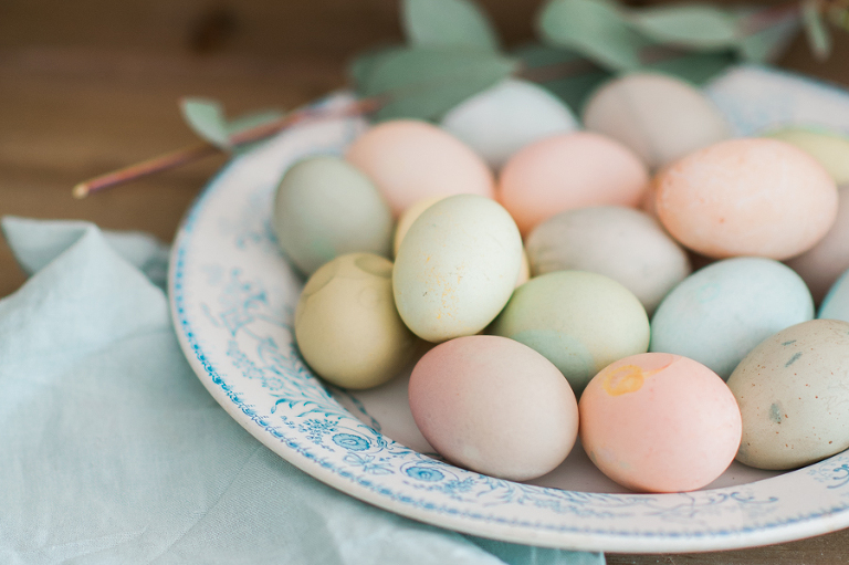 deersphotography_004