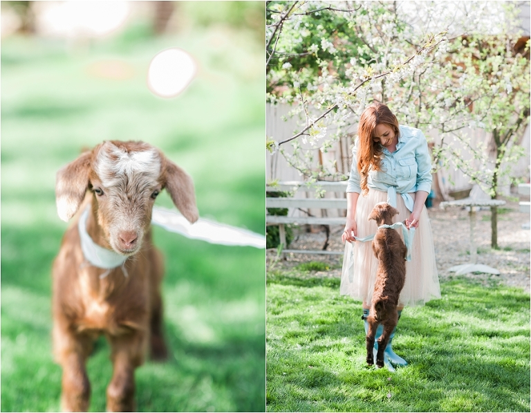 deersphotography_027