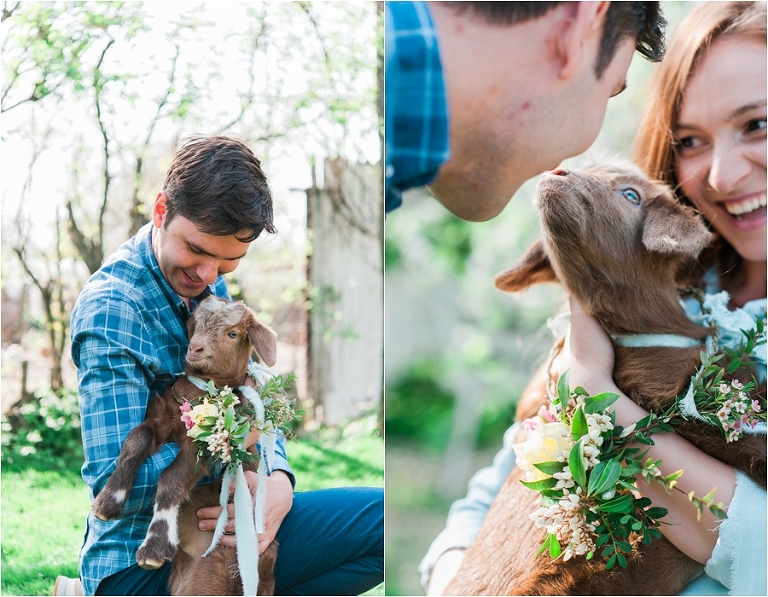 deersphotography_029