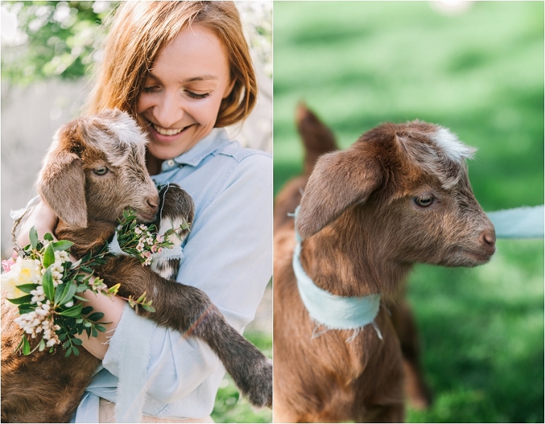 deersphotography_030