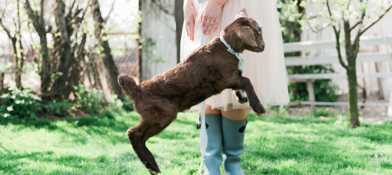 deersphotography_031