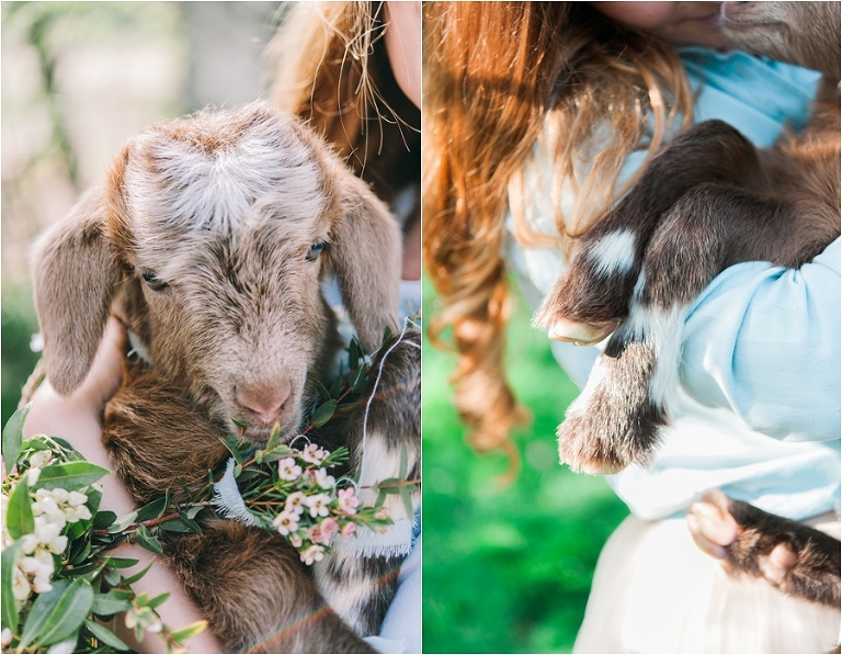 deersphotography_033