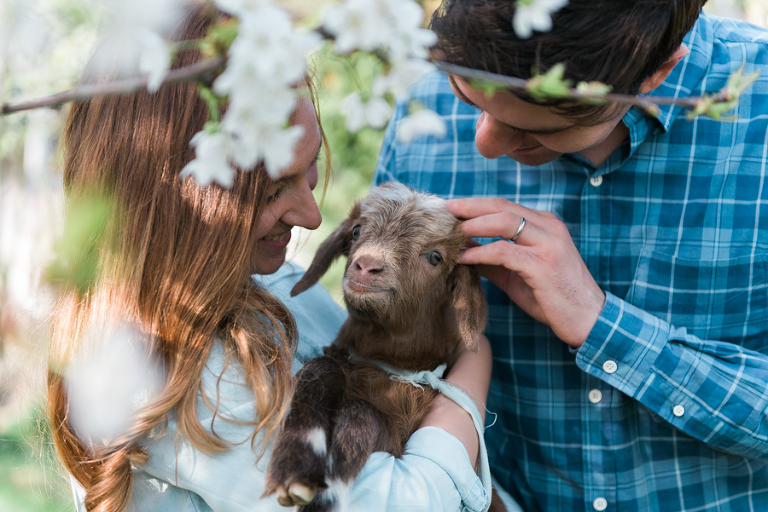 deersphotography_036