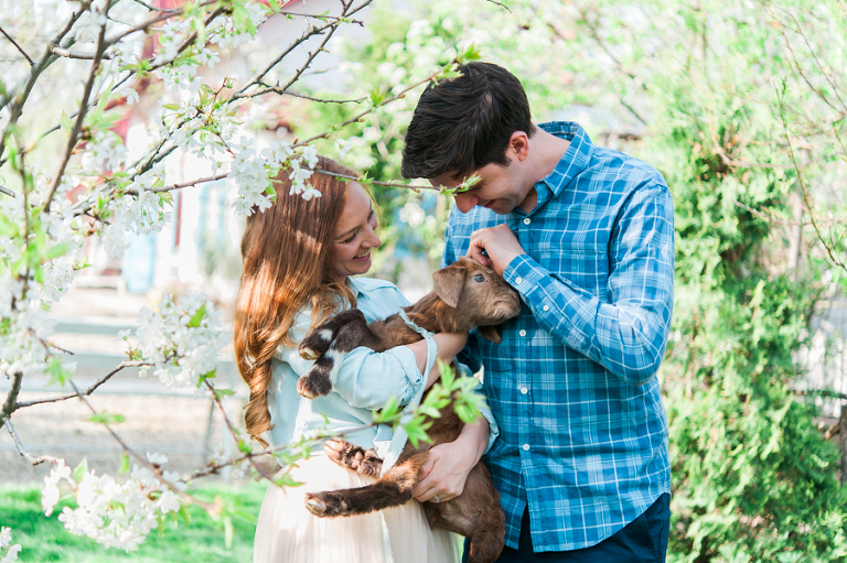 deersphotography_037