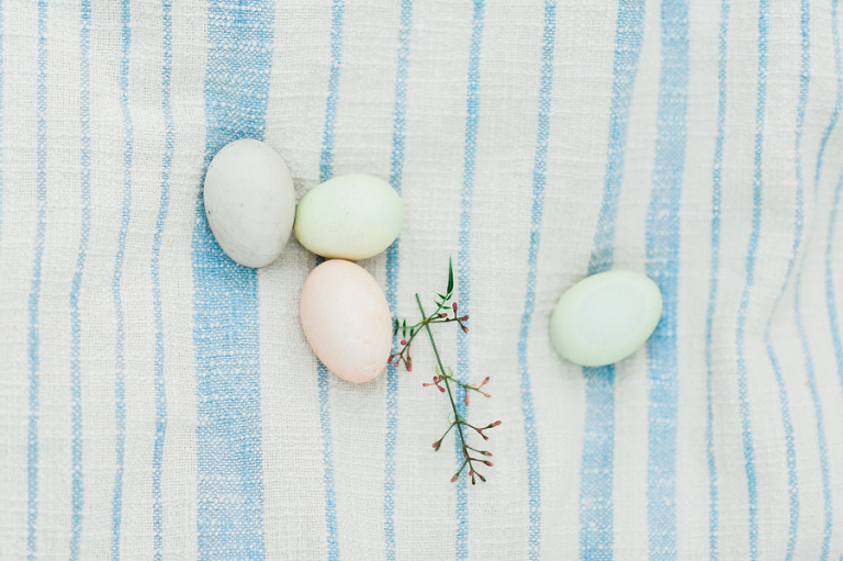 deersphotography_056