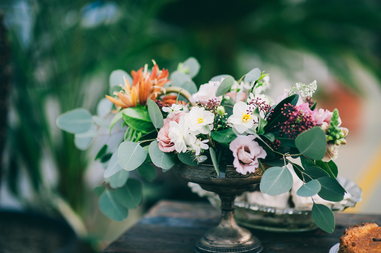 deersphotography_magnolia003