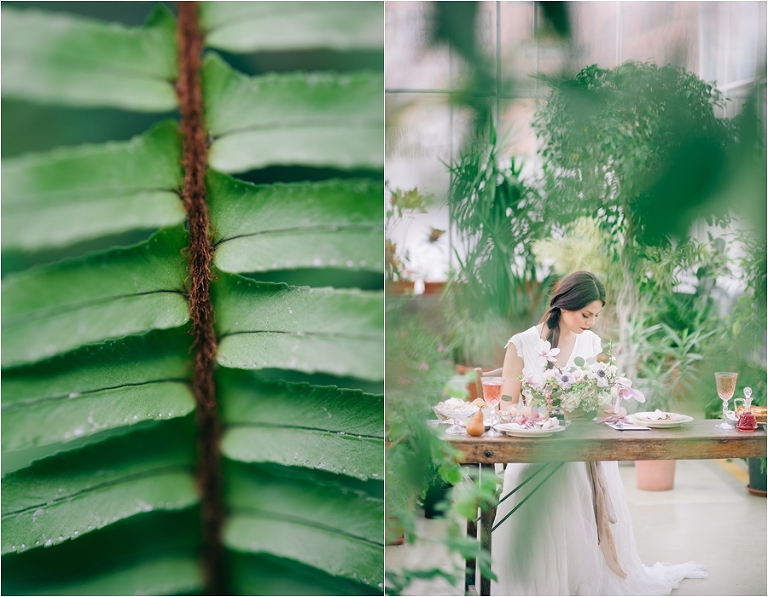 deersphotography_magnolia010