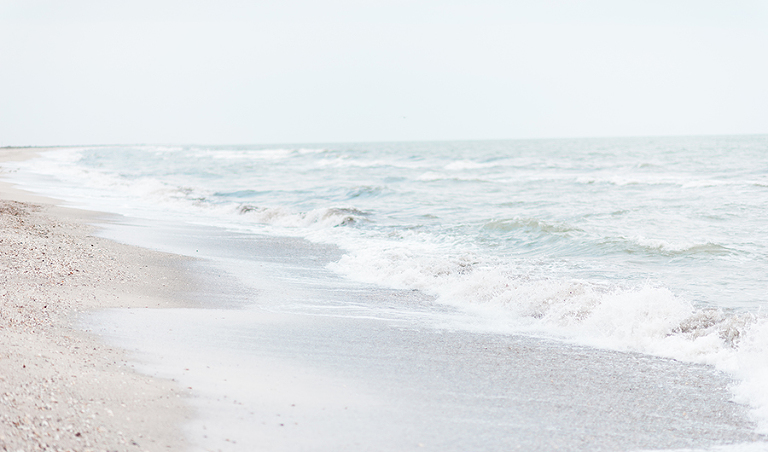 deersphotography_sea002