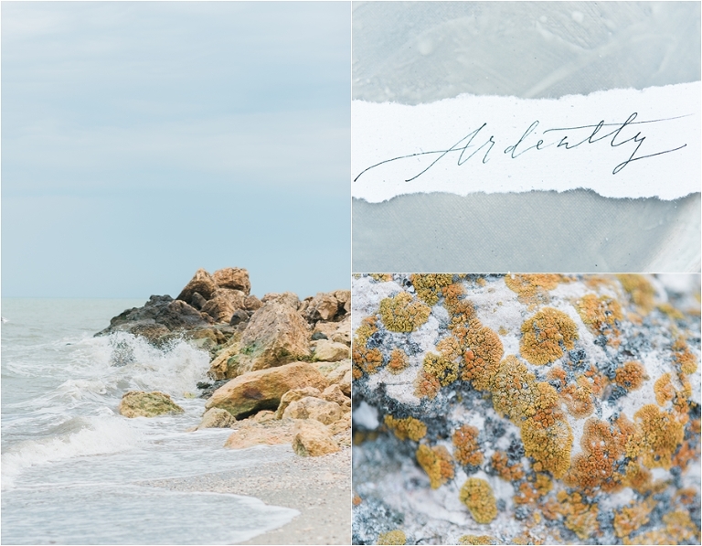 deersphotography_sea028