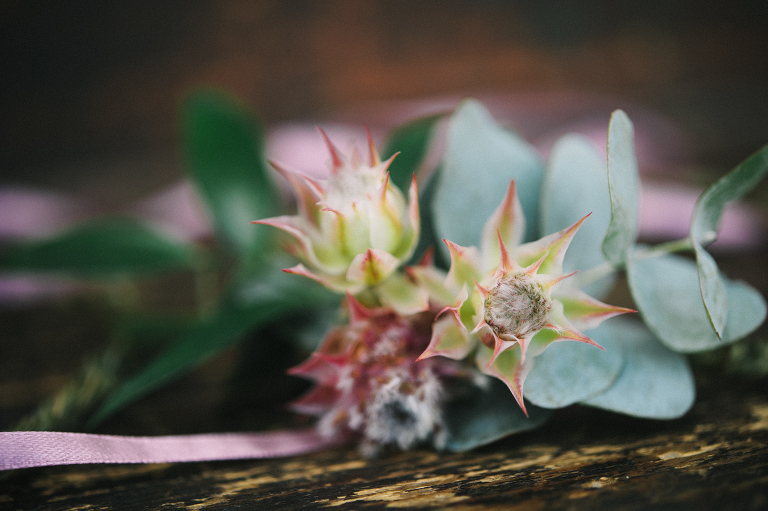 wedding_deersphotography1021
