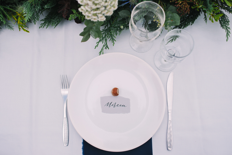 wedding_deersphotography1063