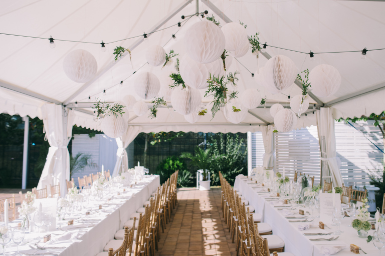 wedding_deersphotography127