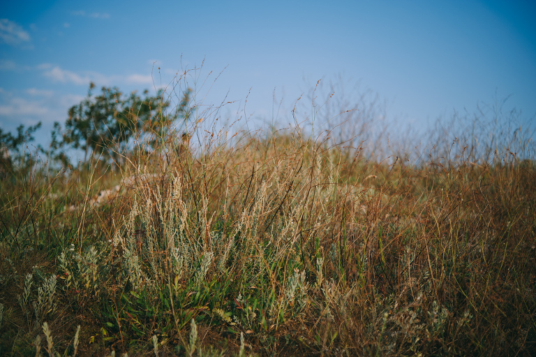deersphotography_destination014