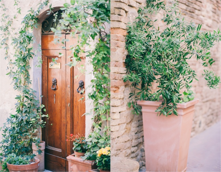 deersphotography_tuscany_063