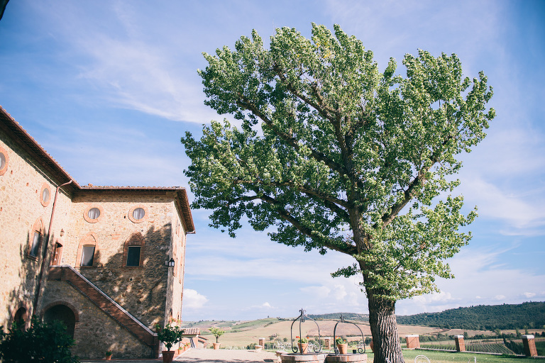 deersphotography_tuscany_071