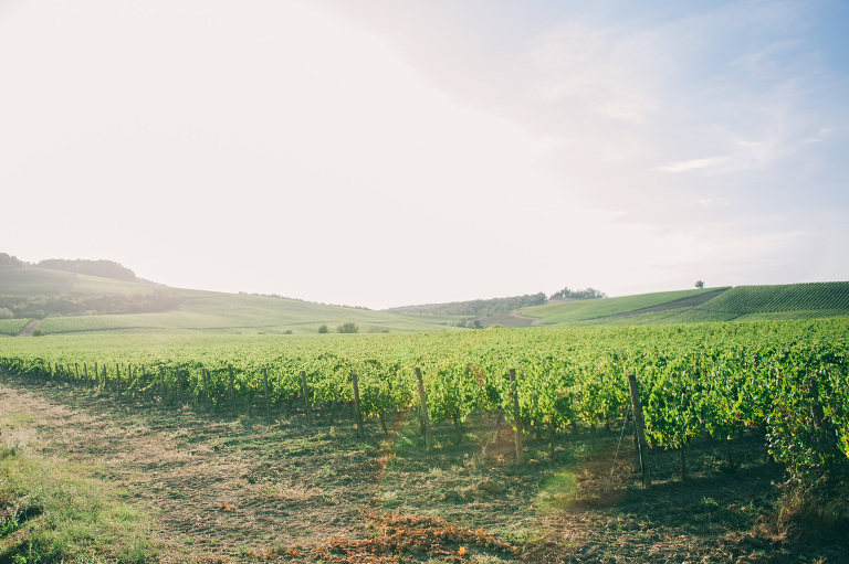 deersphotography_tuscany_081