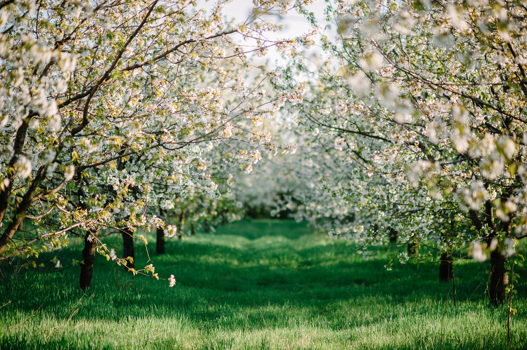 sedinta logodna_deersphotography115