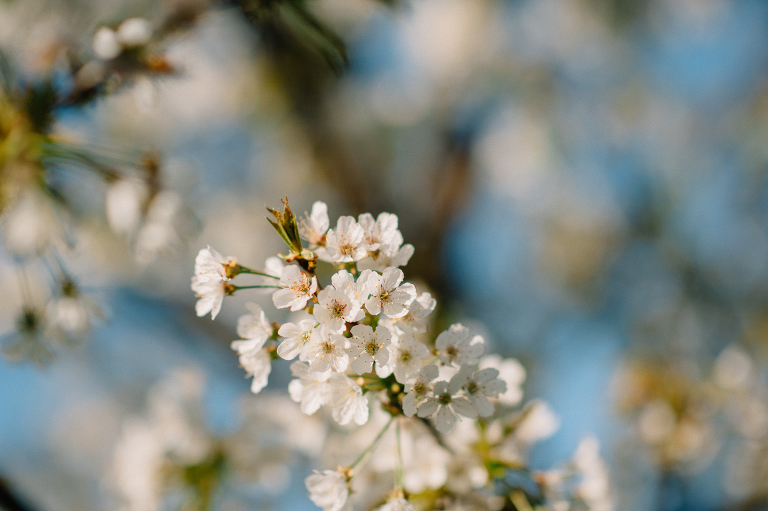 sedinta logodna_deersphotography127