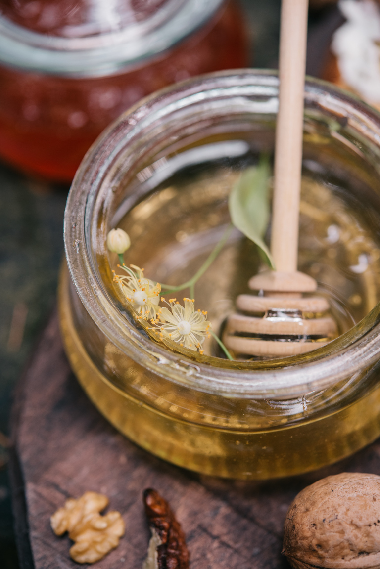 deersphotography_forest inspiration_102