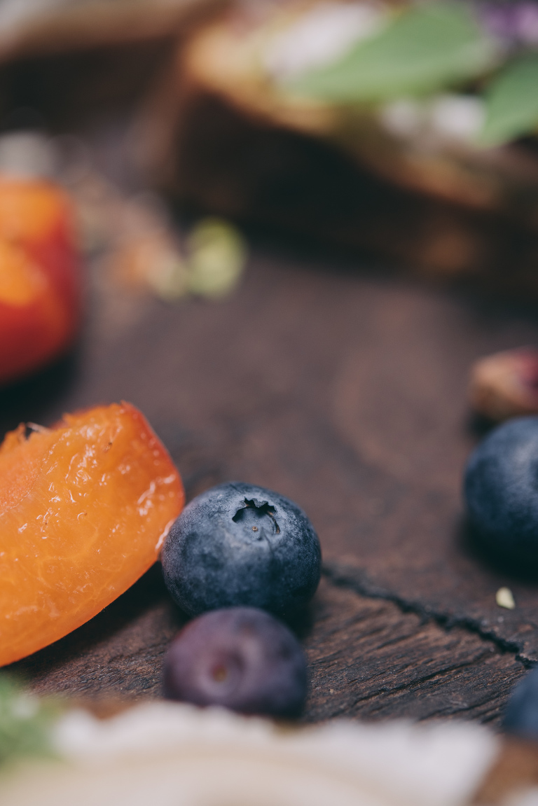 deersphotography_forest inspiration_103