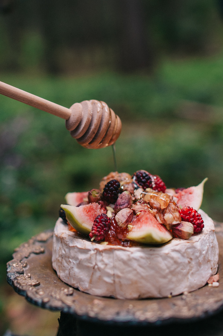 deersphotography_forest inspiration_113