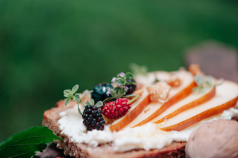 deersphotography_forest inspiration_114