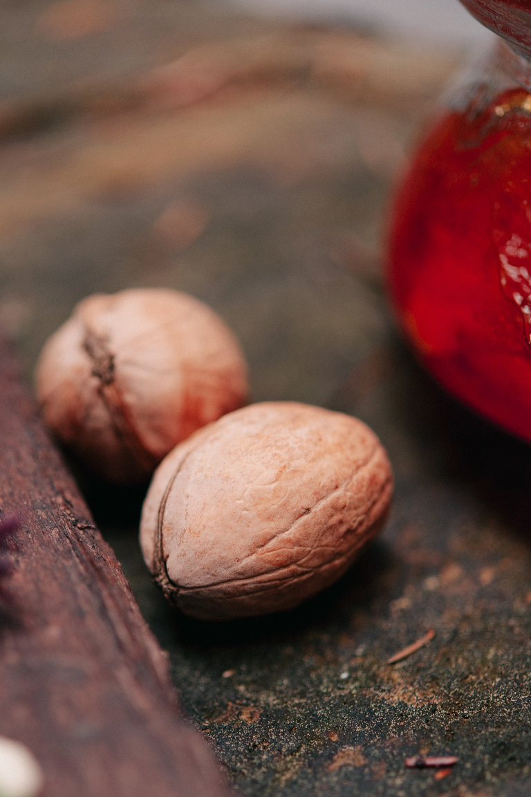 deersphotography_forest inspiration_115