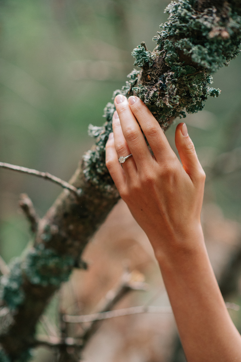 deersphotography_forest inspiration_120