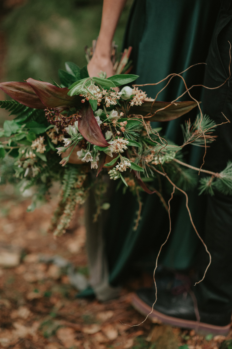 deersphotography_forest inspiration_138