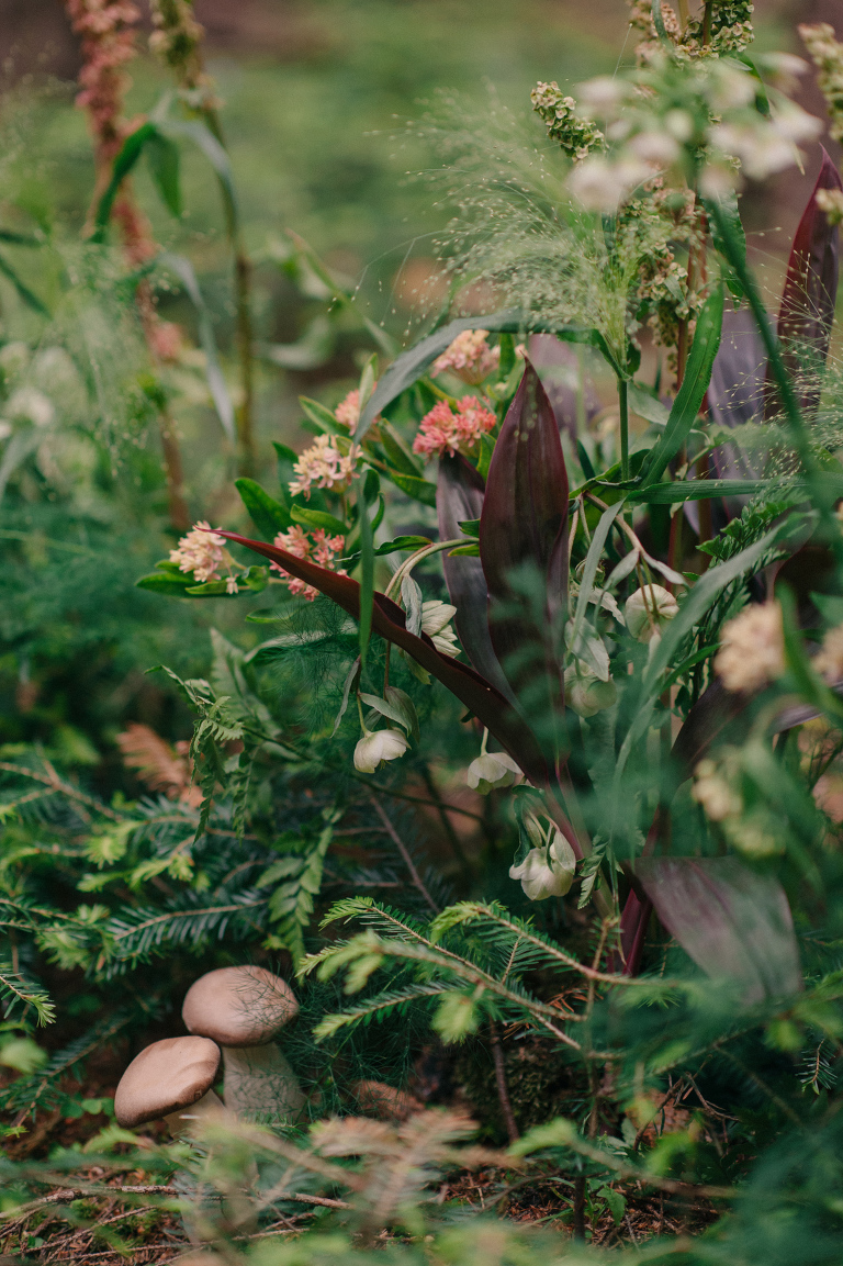 deersphotography_forest inspiration_144