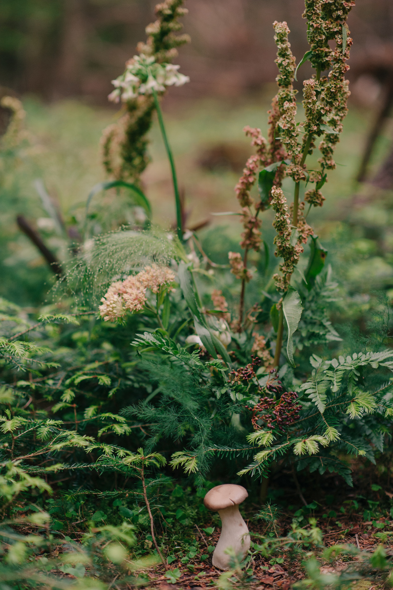 deersphotography_forest inspiration_145