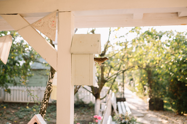 gather_autumn 232