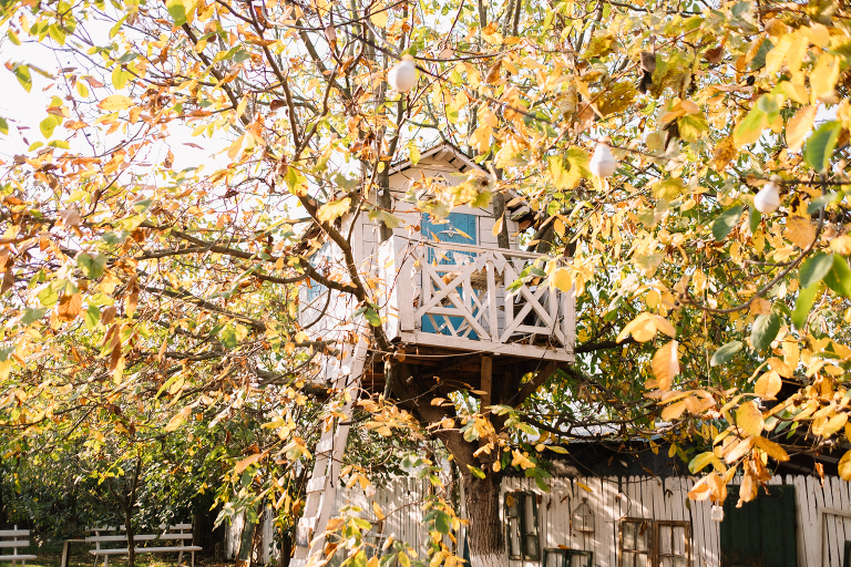 gather_autumn 233