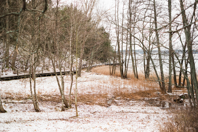 sweden_deersphotography-1085